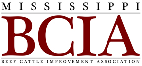 Mississippi BCIA Beef Cattle Improvement Association Image.